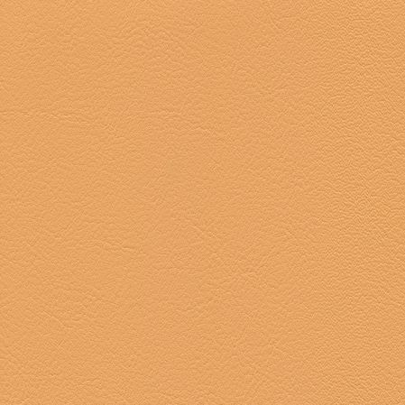 Tundra - Apricot (F6461458)