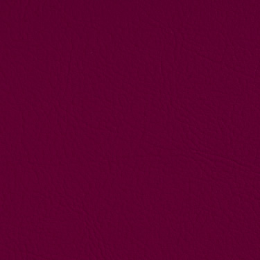 Valencia C5 - Berry  (238-2002) 