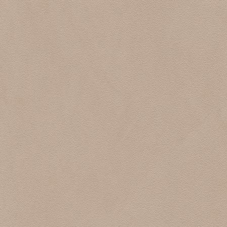 Pandoria Plus - Birke (F6413049)