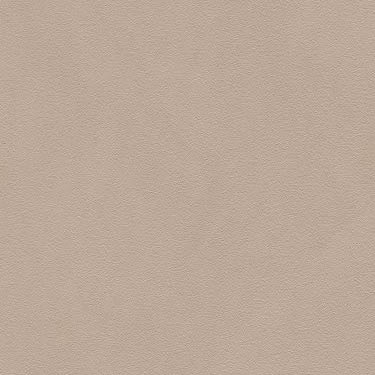 Pandoria Plus - Birke (F6413049)