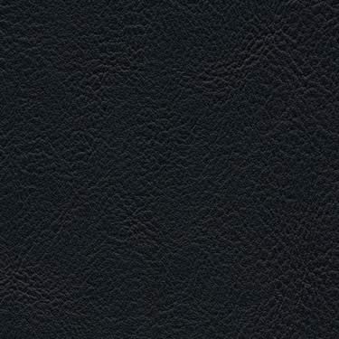 skai® Evida - Schwarz (F6800032)