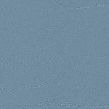 Tundra - Bleu (F6461496)
