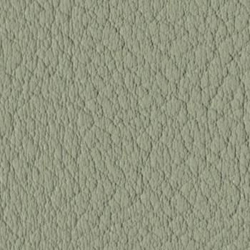 Spradling Valencia - Cactus (107-8438)