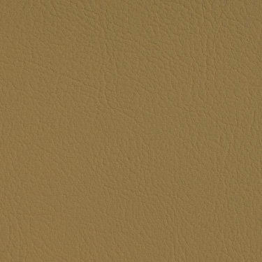 Spradling Valencia - Champagne (107-1001)