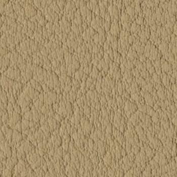 Spradling Valencia - Champagne (107-1001)