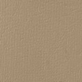 Compact - Beige - (C830)