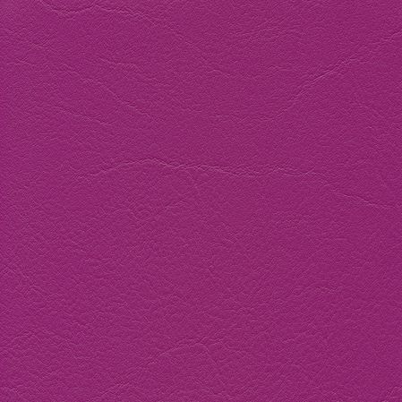 Tundra - Cyclame (F6461381) 