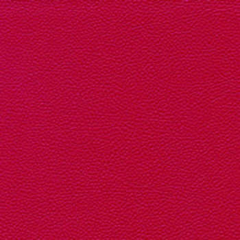 Skai Toronto EN - Kirsche (F6471008)