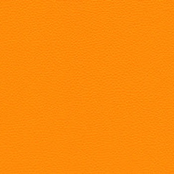 Skai Toronto EN - Orange (F6471022)