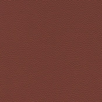 Skai Toronto EN - Terra (F6471073)