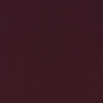 Skai Toronto EN - Merlot (F6471074)