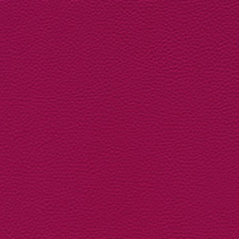 Skai Toronto EN - Beere (F6471076)