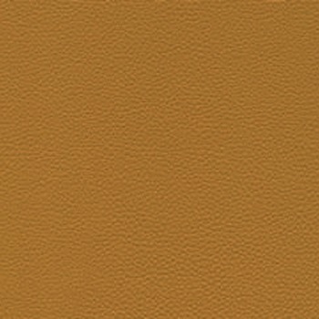 Skai Toronto EN - Goldgelb (F6471078)