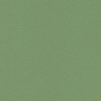 Skai Toronto EN - Organic Green (F6471080)