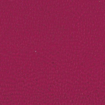 Giotto - Fuchsia (9)