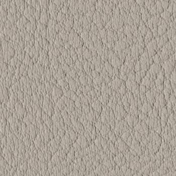 Spradling Valencia - Fungi (107-2522)