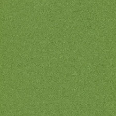 Pandoria Plus - Kaktus (F6413077)