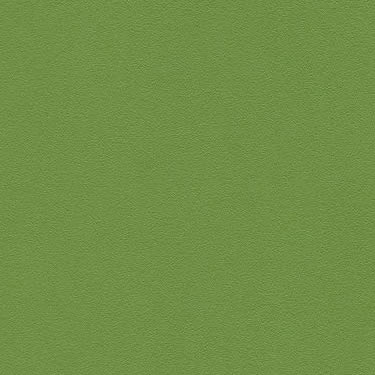 Pandoria Plus - Kaktus (F6413077)