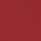 Evida - Kirsche (F6800047)