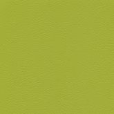 Tundra - Limone (F6461543)