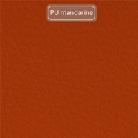 CTN PU - Manderine