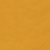 Palma - Mango (F6411060)