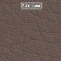 CTN PU - Meteor