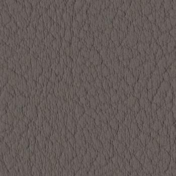 Spradling Valencia - Meteor (107-4041)