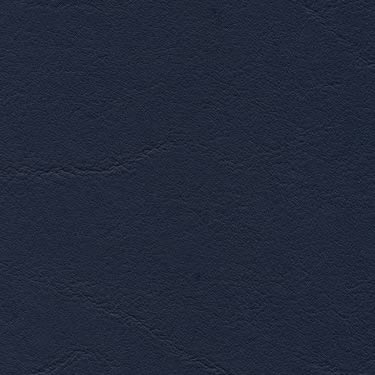 Tundra - Ocean (F6461204)