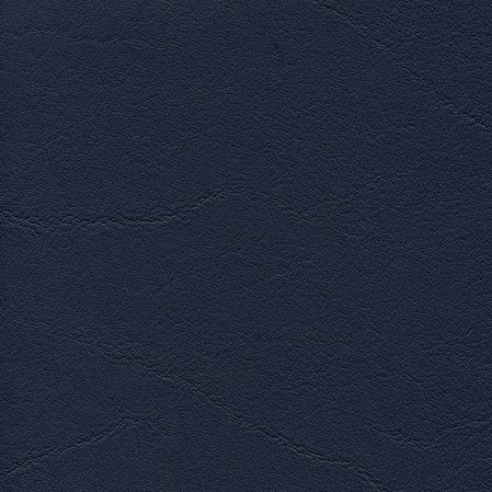 Tundra - Ocean (F6461204)
