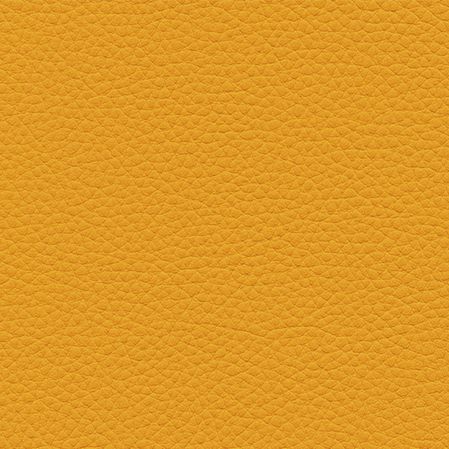 Skai Toronto EN - Orange (F6471022)