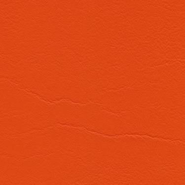 Tundra - Orange (F6461556)