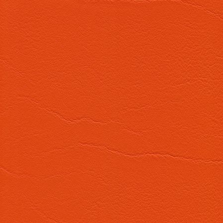 Tundra - Orange (F6461556)
