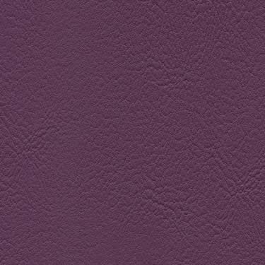 skai® Evida - Orchidee (F6800029)