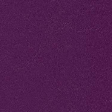 Tundra - Orchidee (F6461354)