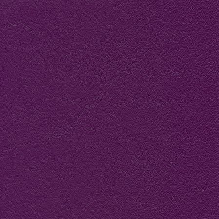 Tundra - Orchidee (F6461354)