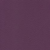 Evida - Orchidee (F6800029)