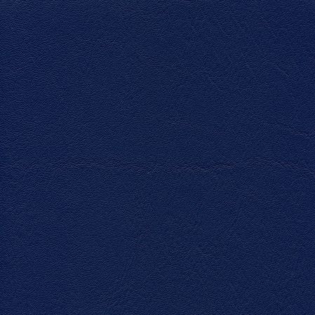 Tundra - Royal (F6461196)