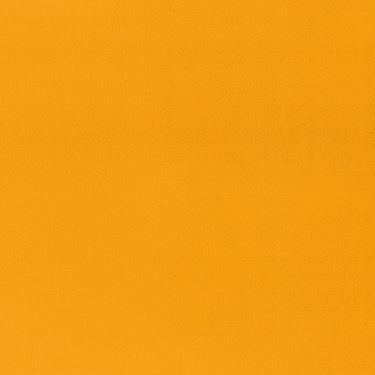 Capri - Safran (1649584)
