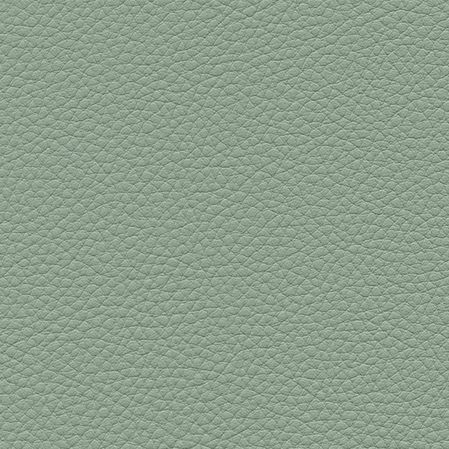 Skai Toronto EN - Sage (F6471024)