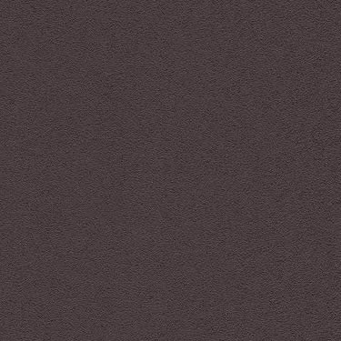 Pandoria Plus - Schoko (F6413051)