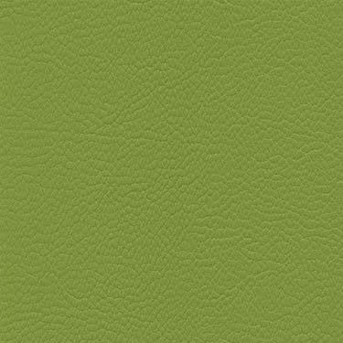 Skai Toronto EN - Olive (F6471014) 