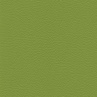 Skai Toronto EN - Olive (F6471014) 