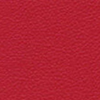 Skai Toronto EN - Kirsche (F6471008)