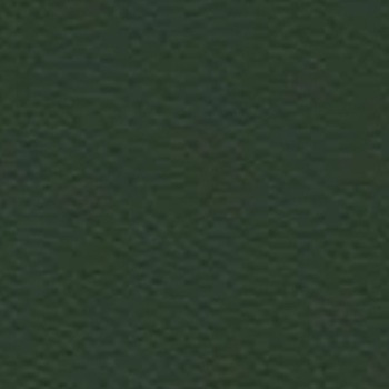 Skai Toronto EN - Dark Green (F6471079)