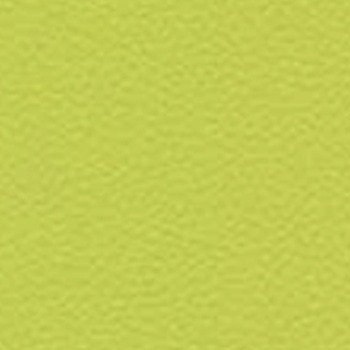Skai Toronto EN - Lime (F6471019)