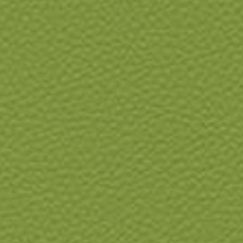 Skai Toronto EN - Olive (F6471014)
