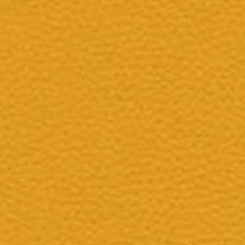 Skai Toronto EN - Orange (F6471022)