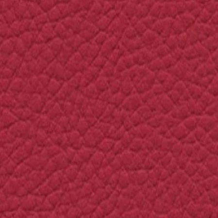 Skai Toronto EN - Beere (F6471076)