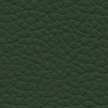 Skai Toronto EN - Dark Green (F6471079)